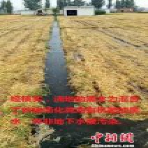 河北晋州“黑水”浇地为谣言 编造地下水污染者被拘