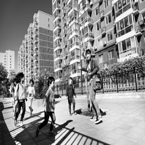 时代庐峰南侧路：小窄道变敞亮绿廊