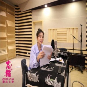 秦岚获邀担任《龙猫》中国形象推广大使