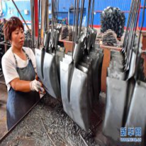 河北滦南：小钢锹闯出国际大市场