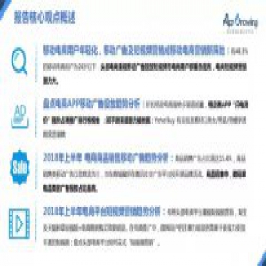 6月)移动电商营销分析报告