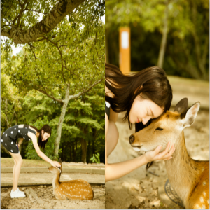 金晨奈良街拍曝光 小鹿环绕清新美好宛若林间精灵