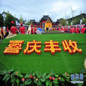 中国农民丰收节来了！为农民点赞 为丰收加油