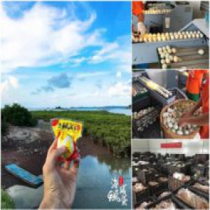 仅靠一枚鸭蛋就能营收千万？商派有量助力这家农特企业打造原创爆品！