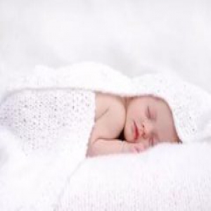 和好帅二蛋机器人的幸福生活