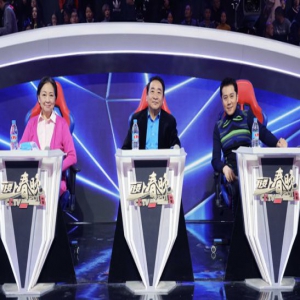 《我要上春晚》方芳蔡国庆胡可忆春晚 引共鸣