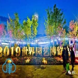 【津云关注】天津最美的风景在这里绽放