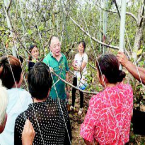 专业技术人员深入灾区支招恢复重建 “有了科学规划,这里将更有后劲”