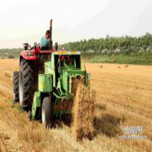 任县 秸秆变宝 在田变肥料 离田赚钞票