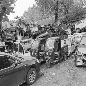 ＂汽车坟场＂侵占公园绿地 南苑街道＂吹哨＂责令关停