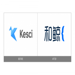 来自和鲸社区研究：头部数据科学人才24小时图鉴