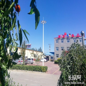 河北省政府新闻办“河北省学生资助政策”媒体吹风会视频实录