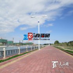 郜若男：和我在额敏街头走一走