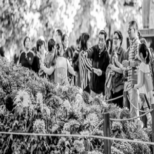 市属公园迎来国庆游园高峰 颐和园客流达12万