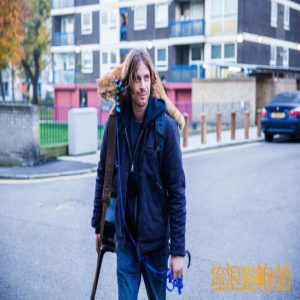 《流浪猫鲍勃》或成为十一月票房“黑马” 暖心初冬引发社会关注