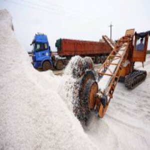 河北唐山：海盐丰收货满仓