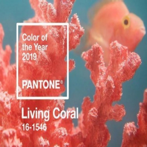 2019年度流行色发布 华为P20率先用起这些迷人的色彩