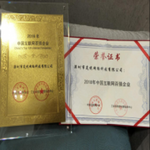 中手游旗下全资子公司深圳岚悦获评工信部“中国互联网100强”