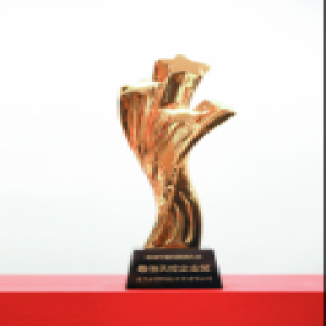 达飞云贷荣膺“最佳风控企业”：将砥砺前行，不忘初心