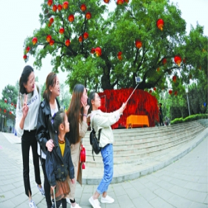 八大处两节多娇：登高听禅观才艺 展西山文化带韵味