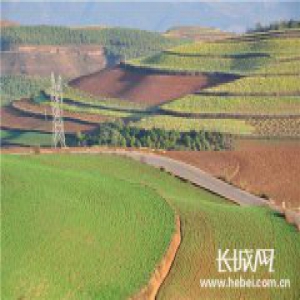 望都县探索推进公司式土地托管服务