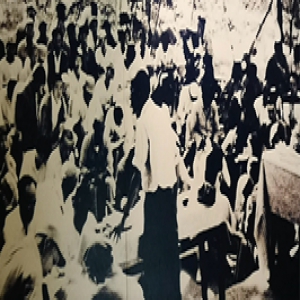 河北省政府新闻办 “《2018年河北省生态环境质量状况公报》”新闻发布会文视频字实录