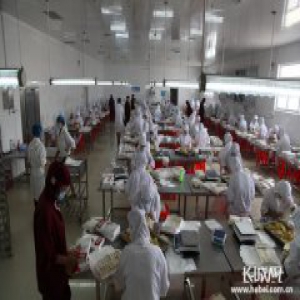 盐山：王新德从货车司机到春卷大亨