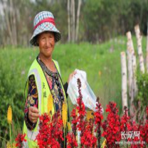 河北省第二届园博会开幕在即 记者探园感受港城绿色梦想