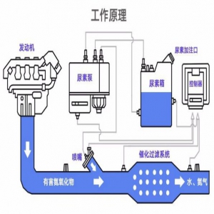 G7和可兰素建立战略合作 助力绿色物流新升级