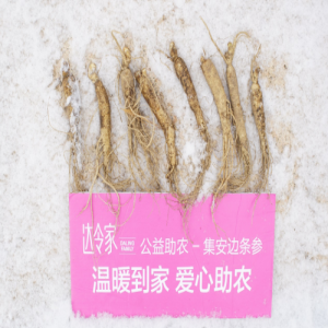 达令家助力集安边条参销售,2019年“达令助农#65381;中国味道”计划第一站