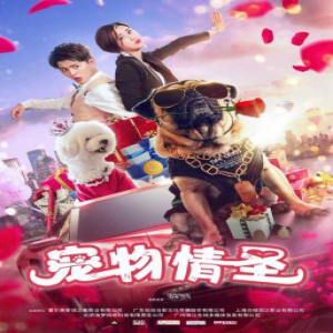 《宠物情圣》今日登陆爱奇艺 萌犬牵线啼笑因缘