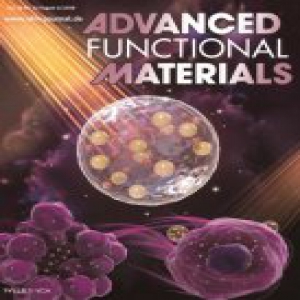 浙大专家给抗癌药穿上神奇装甲 直达肿瘤深处