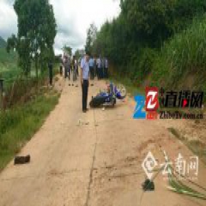 一家3口遭象群袭击 丈夫弃车逃脱妻儿不幸遇难