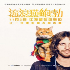 告别最冷10月 高分治愈系电影《流浪猫鲍勃》口碑上榜