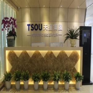 剑指下半场 天搜集团加速产业互联网布局