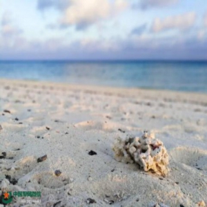 特稿｜天涯哨兵，你们的坚守，祖国不会忘记