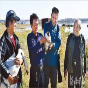 守护“鸟的天堂”