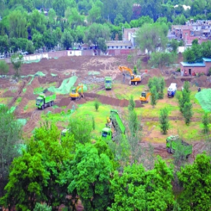 200张照片记录批发市场变身嘉囿公园