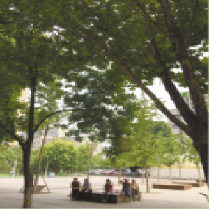 潮湿闷热的天气让石家庄市民选择多种方式避暑