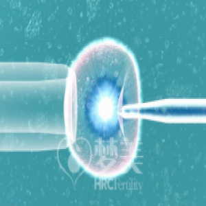 美国试管婴儿：梦美探究75%的女性选择赴美IVF的原因