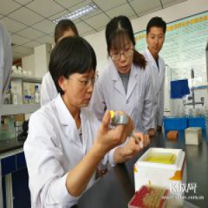 【党徽熠熠】王省芬：24年科研路 花开棉铃正当时