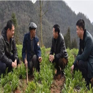 我的扶贫故事 | 坚守在雪岩顶村