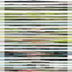 心疼！更为他们自豪！