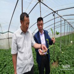 【对党忠诚 奉献一生】同事： 他最大的愿望是加快村民致富步伐