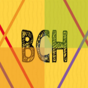 BCH新开发者平台Developer.bitcoin上线，加速BCH应用开发