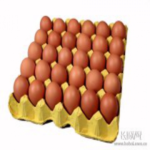 上周河北生活必需品市场运行良好 蔬菜价格小幅走低