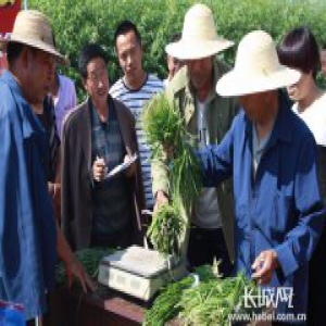 阳原县“新时代讲习所” 用“乡音”传递“新声”