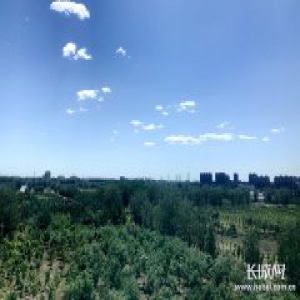 河北省春季营造林工作己全部结束 共完成营造林635.3万亩