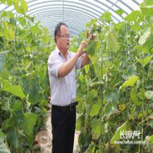 【党徽熠熠】盐山薛凤才：三斧子将薛堂村打造成全国生态旅游村