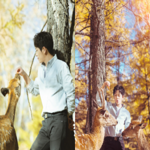 武艺《亲爱的客栈2》暖心绅士照顾沈月